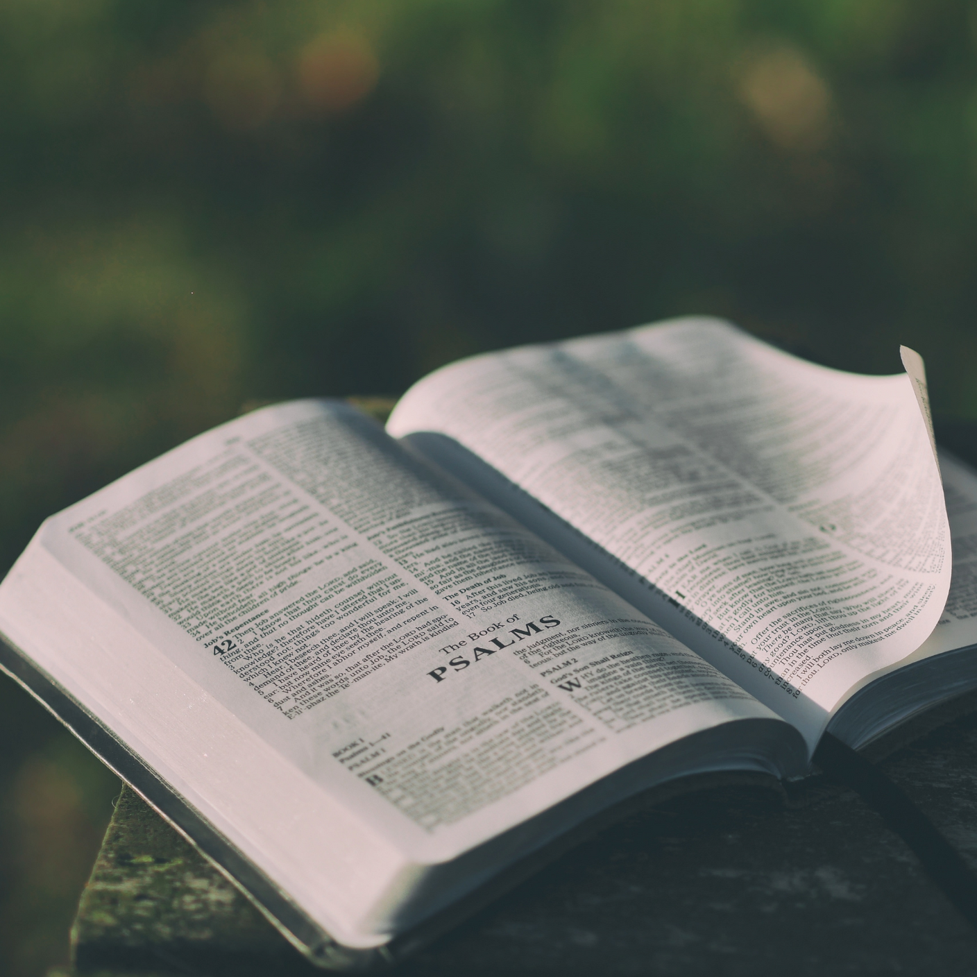 Photo 7 from Soul Winners Connection Inc