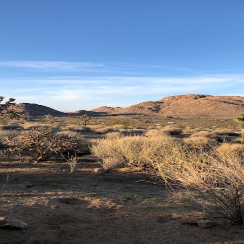 Photo 6 from Joshua Tree Highlands Artist Residency Corp