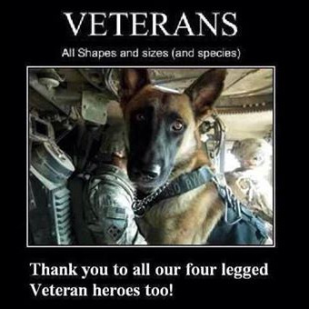 Photo 1 from Central Indiana K9 Association Inc