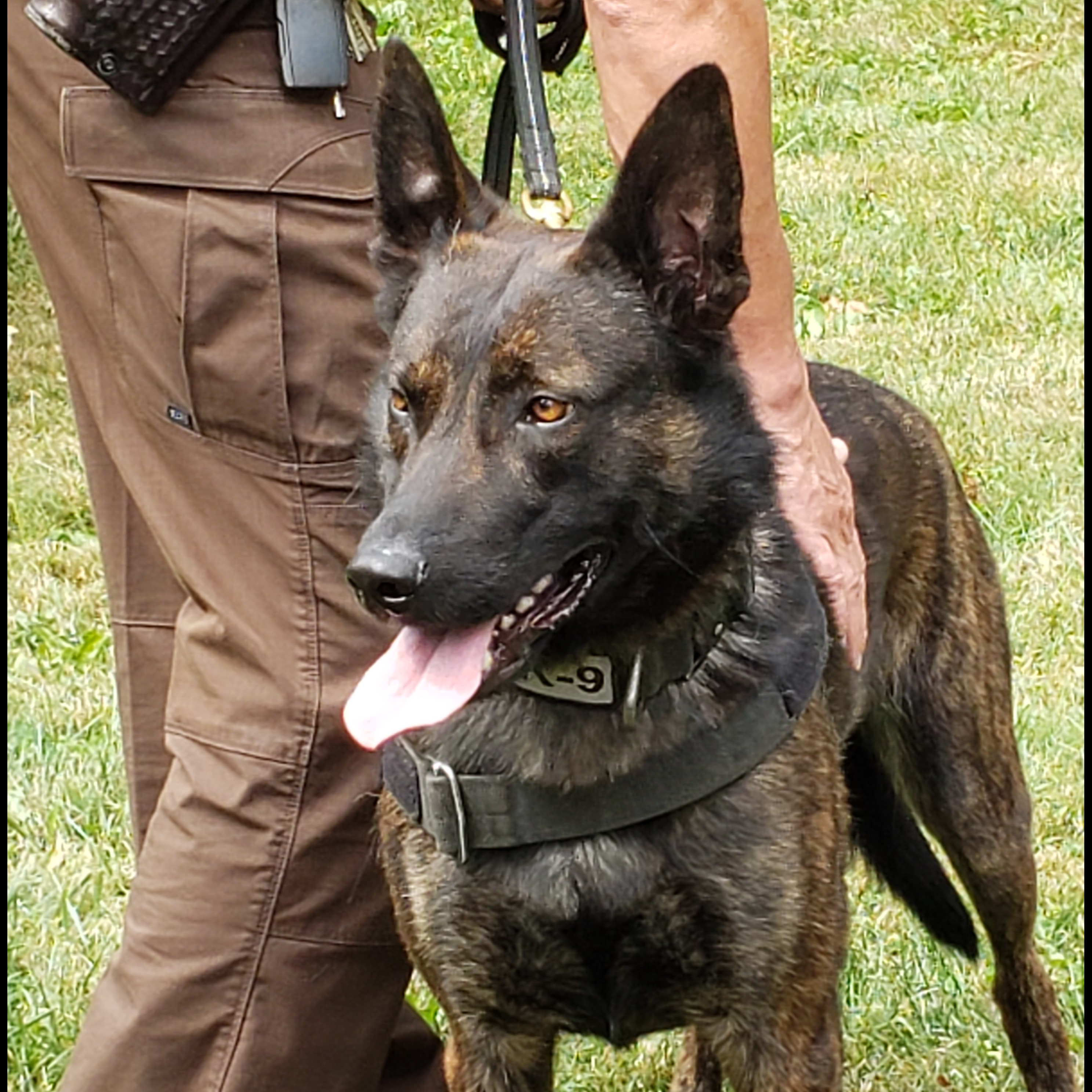 Photo 3 from Central Indiana K9 Association Inc