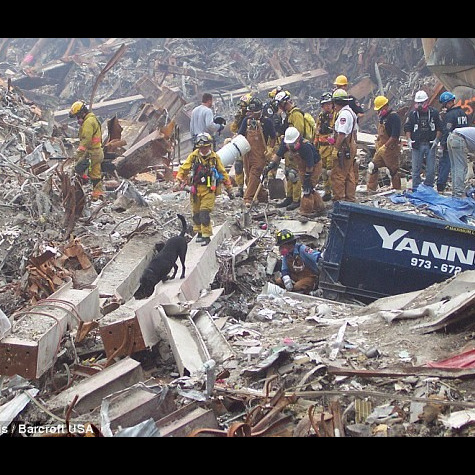 Photo 5 from Central Indiana K9 Association Inc