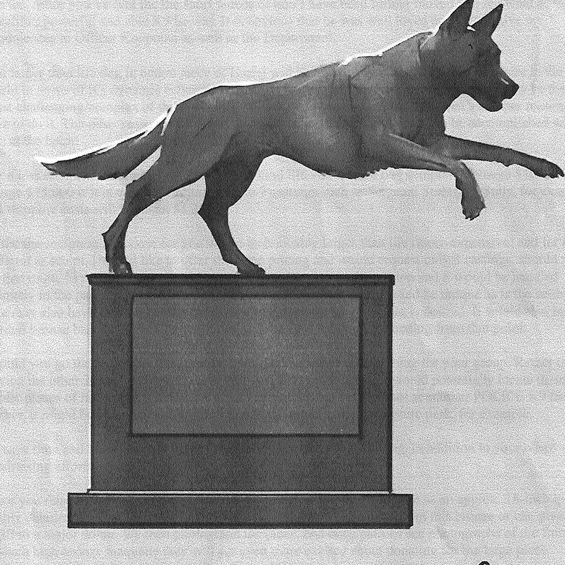 Photo 9 from Central Indiana K9 Association Inc