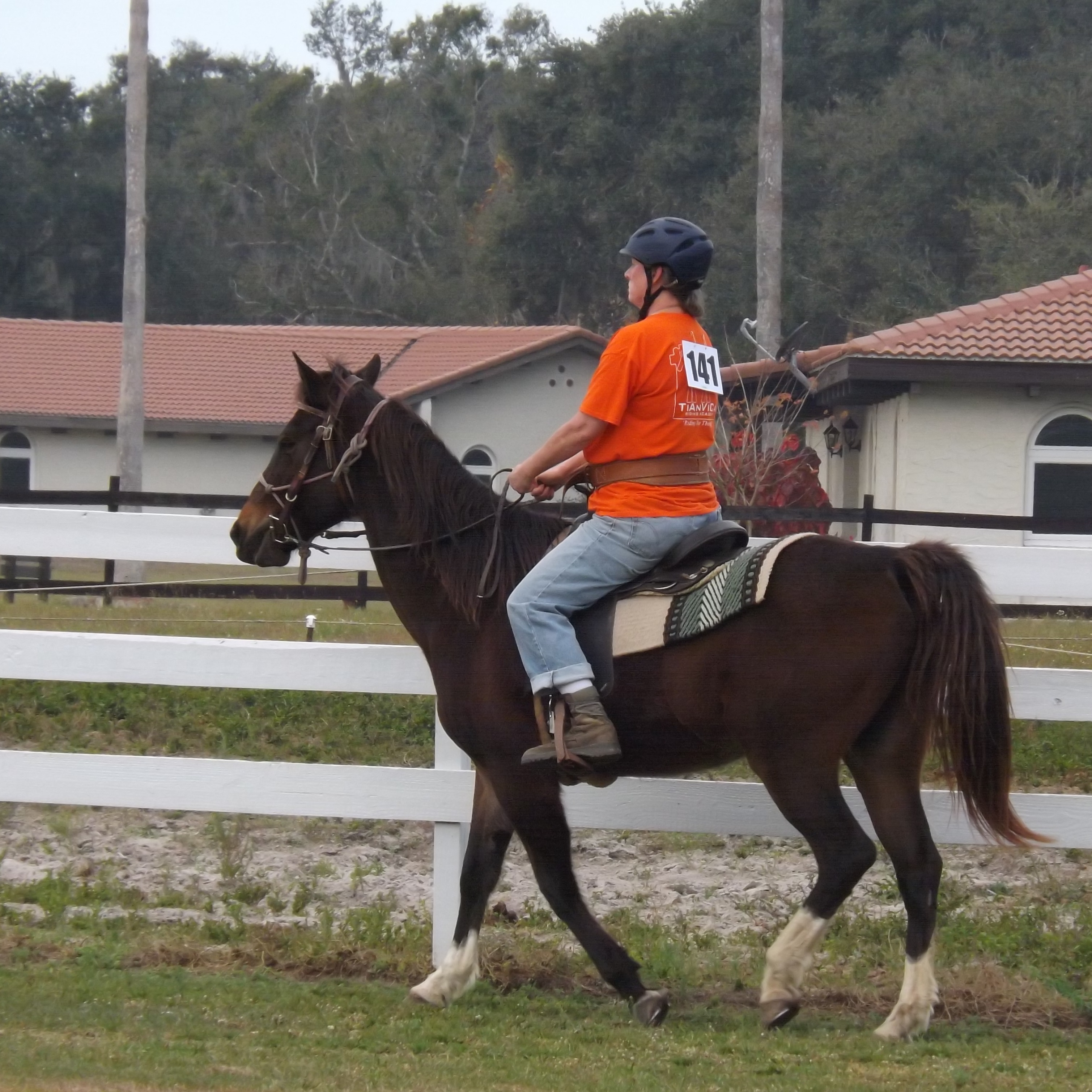 Photo 1 from TiAnViCa Riding Academy Incorporated