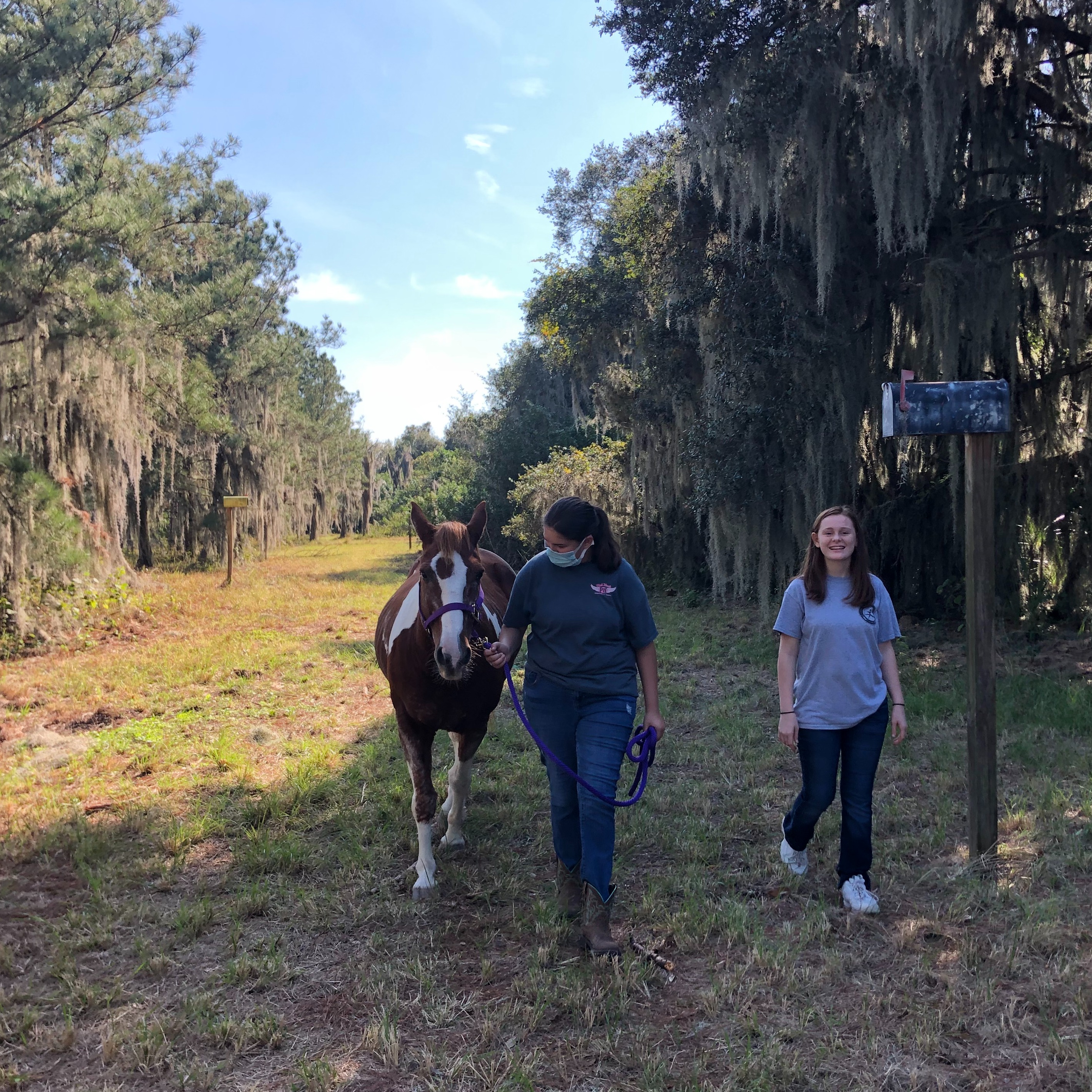 Photo 4 from TiAnViCa Riding Academy Incorporated