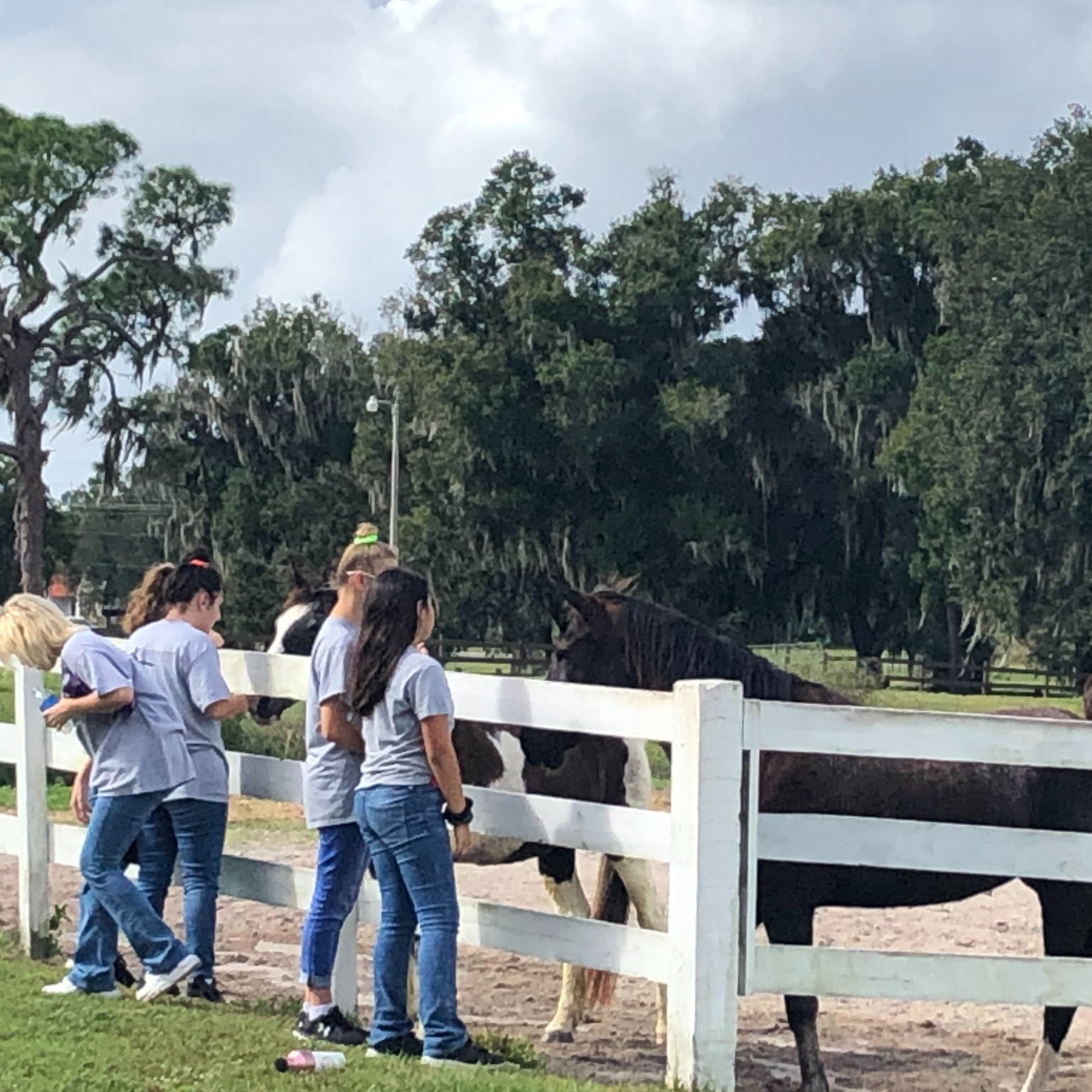 Photo 6 from TiAnViCa Riding Academy Incorporated