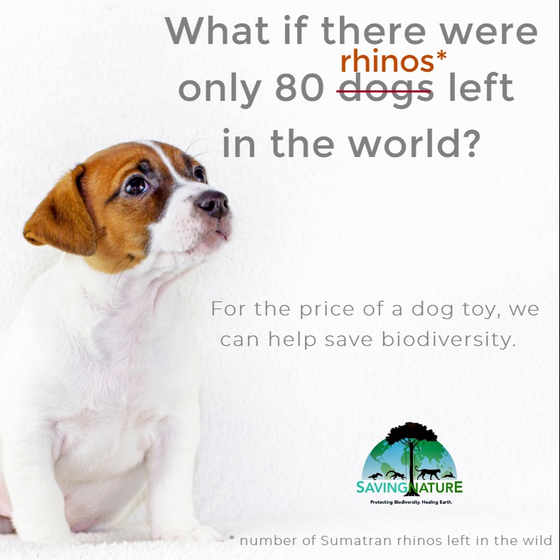 Photo 4 from Saving Nature Inc