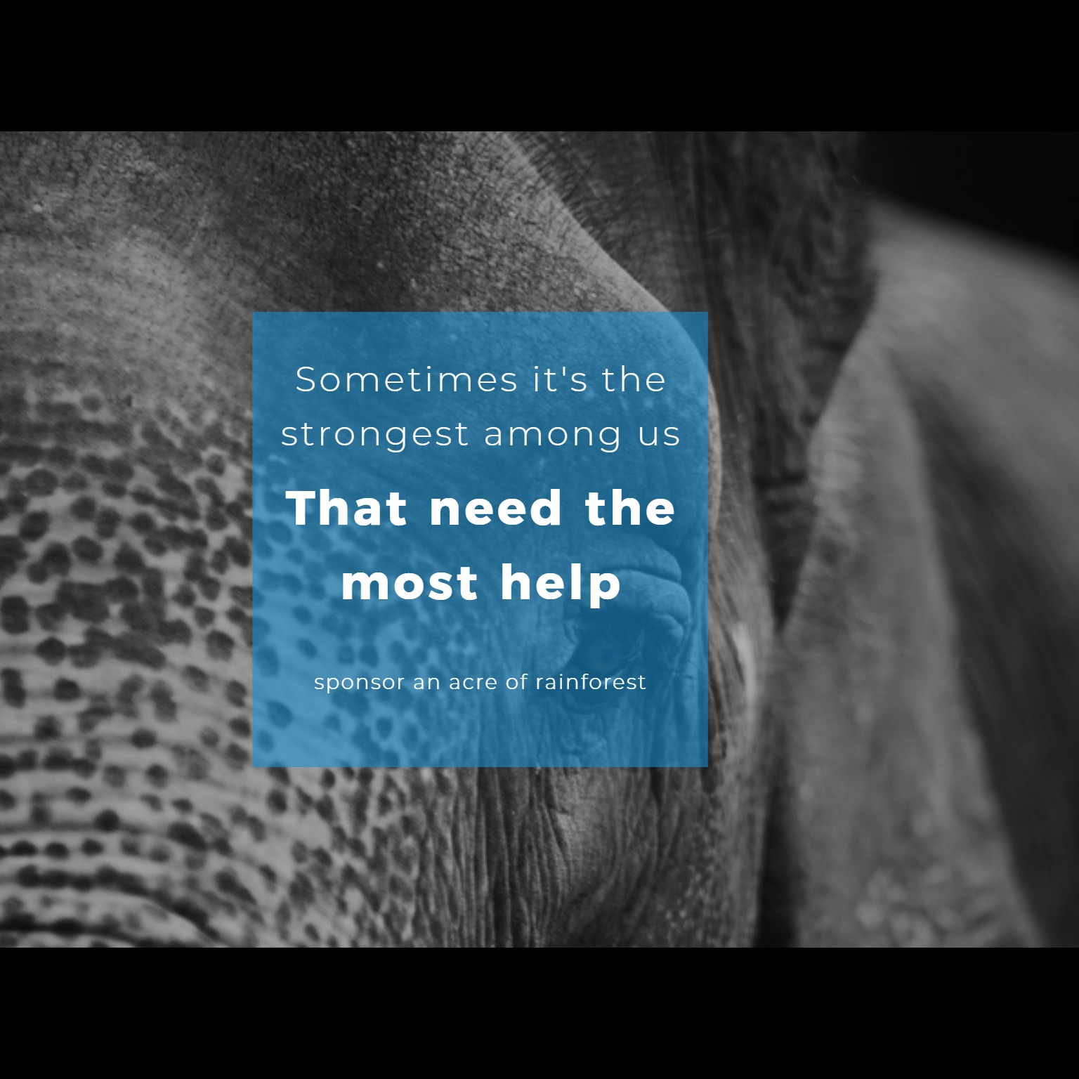 Photo 6 from Saving Nature Inc