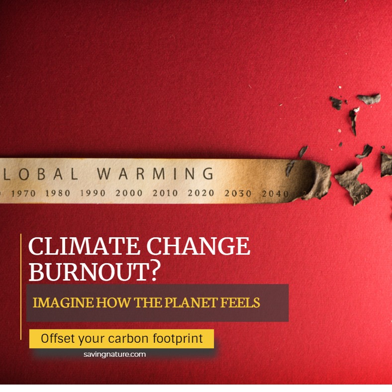 Photo 8 from Saving Nature Inc