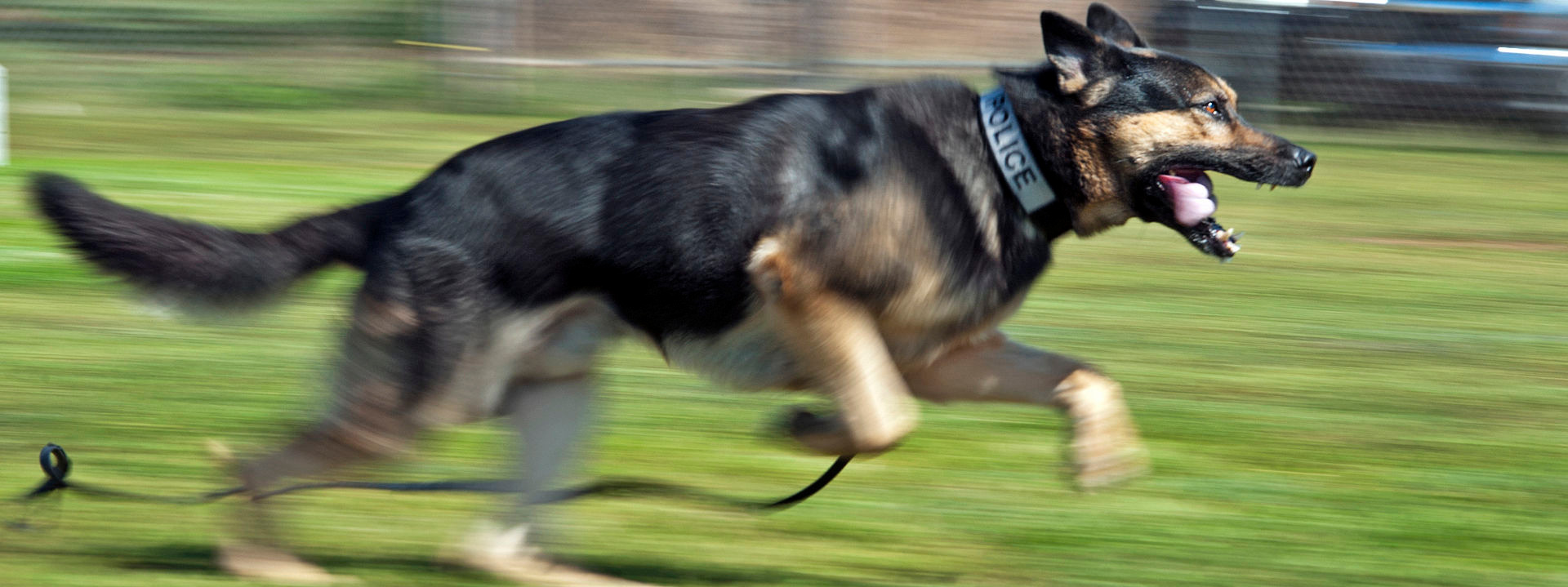 Central Indiana K9 Association Inc