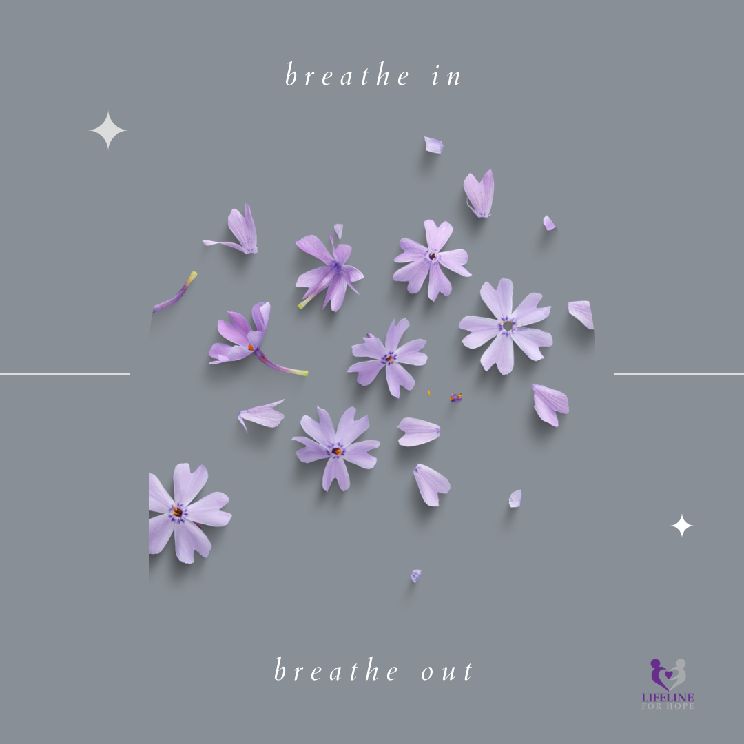 Photo 9 from Lifeline For Hope