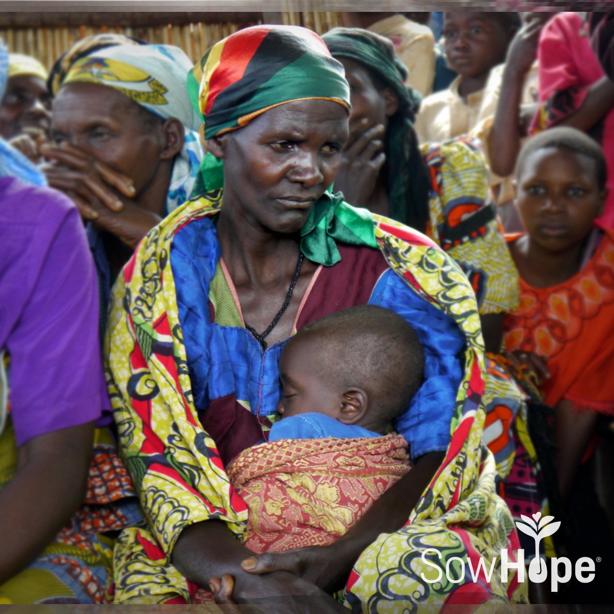 Photo 6 from SowHope