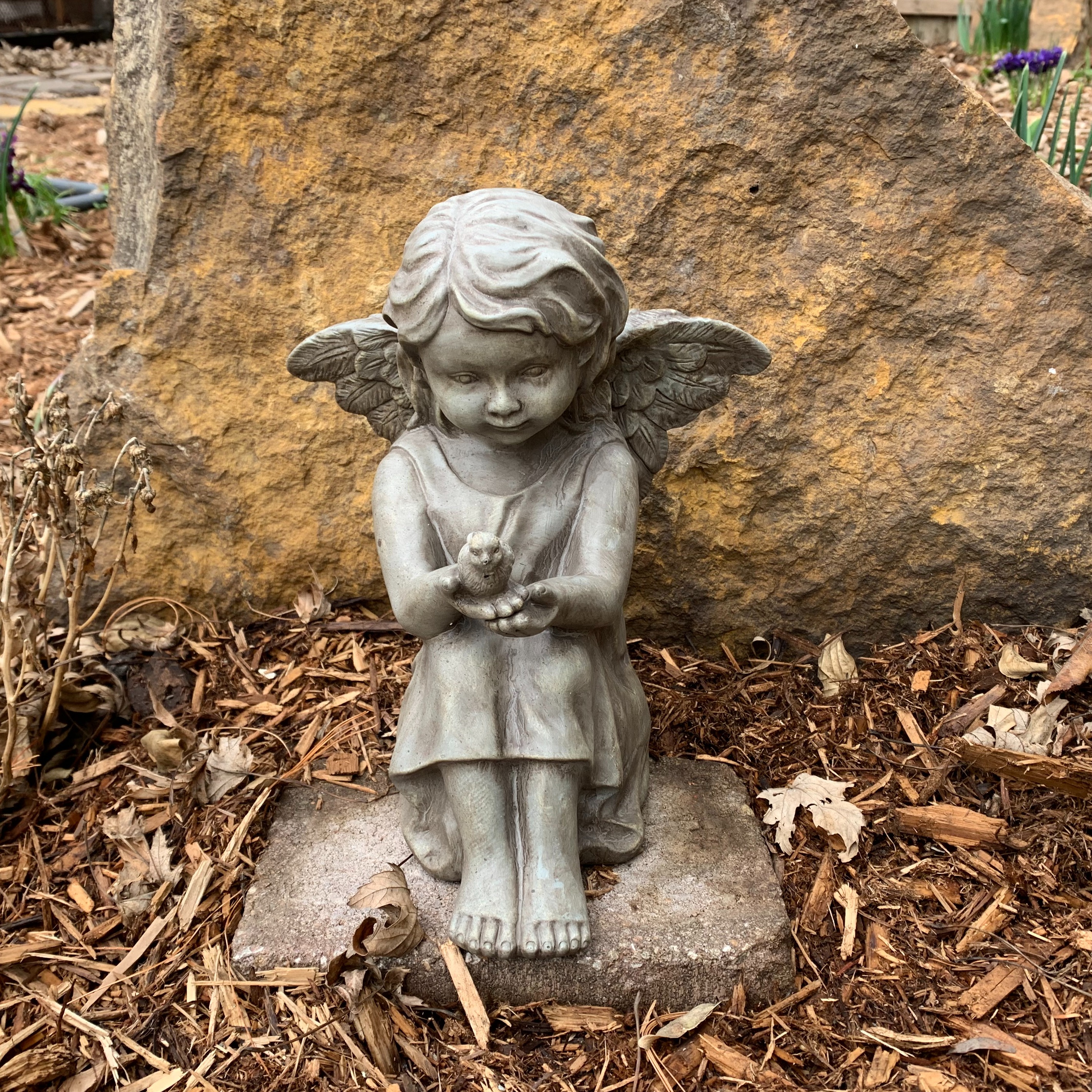 Photo 6 from Dorothy's House