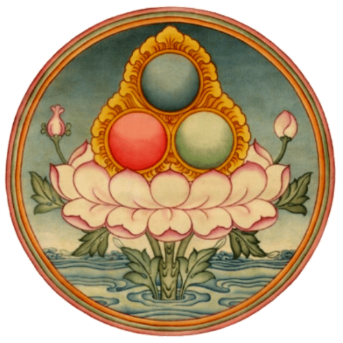 Tsoknyi Humanitarian Foundation