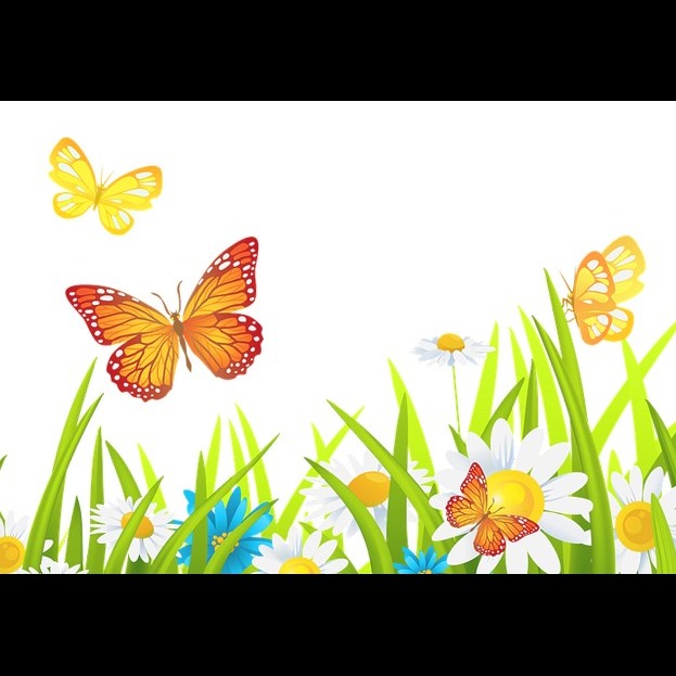 Photo 12 from Korean American Wellness Association