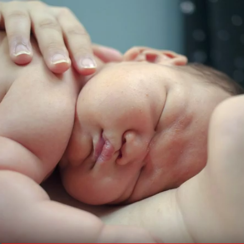 Photo 9 from West Virginians for Life Inc