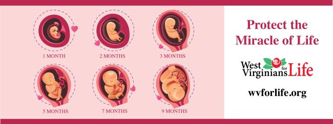 West Virginians for Life Inc cover