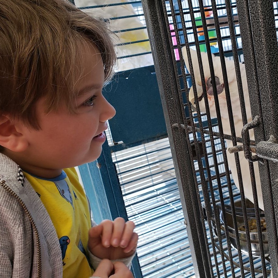 Photo 6 from Under My Wing Avian Refuge