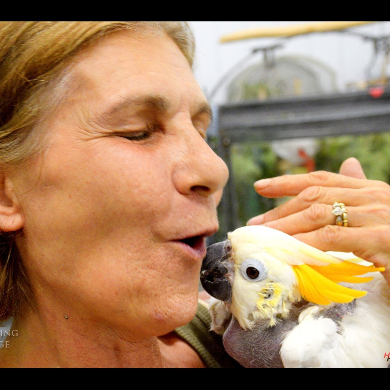 Photo 8 from Under My Wing Avian Refuge