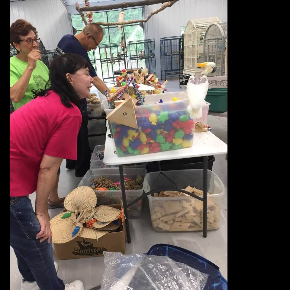 Photo 9 from Under My Wing Avian Refuge