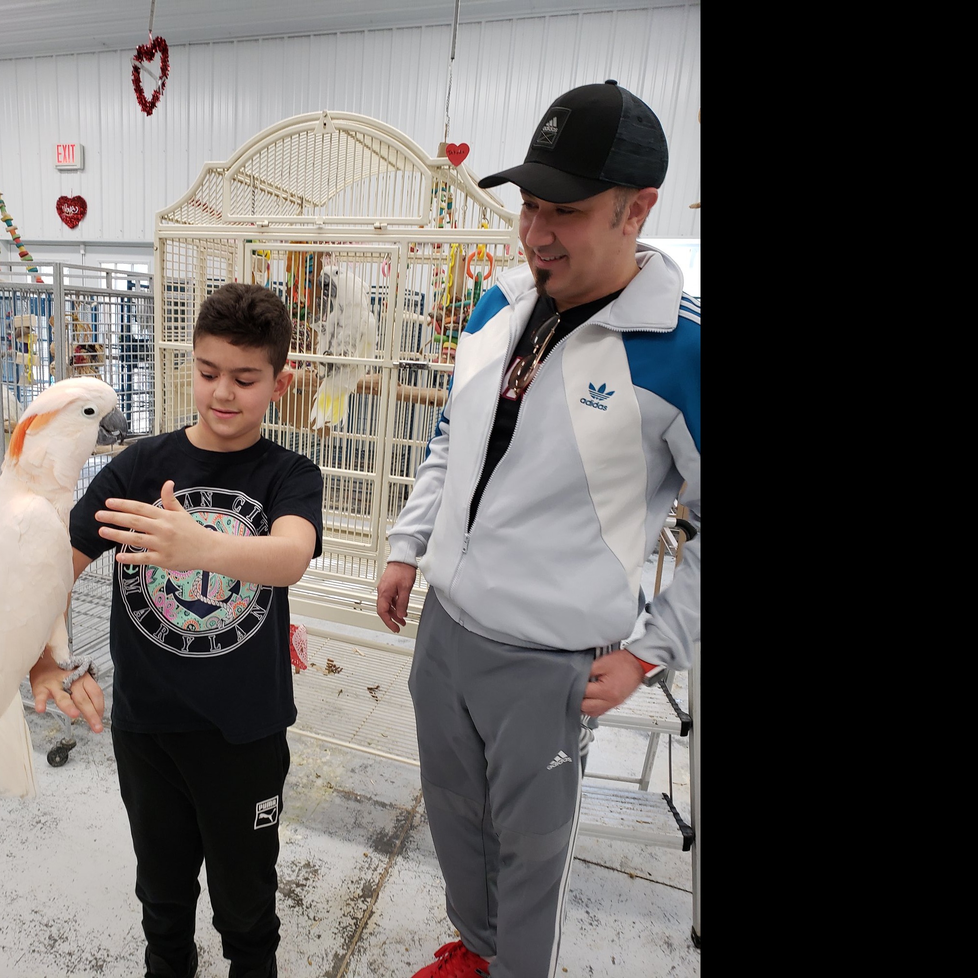 Photo 10 from Under My Wing Avian Refuge