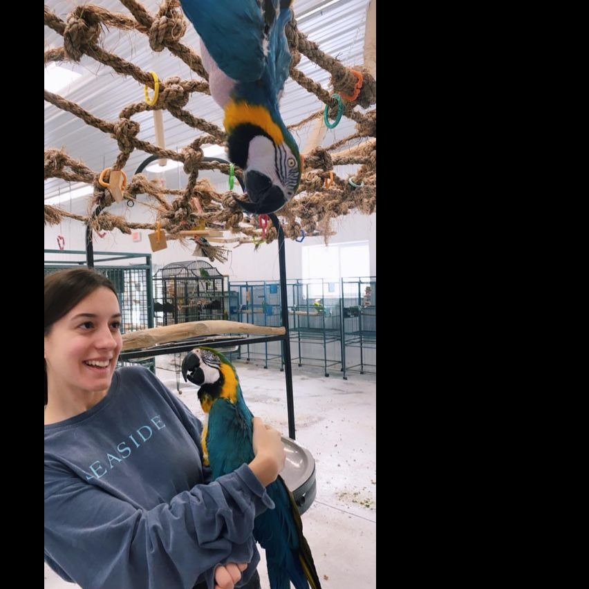 Photo 11 from Under My Wing Avian Refuge