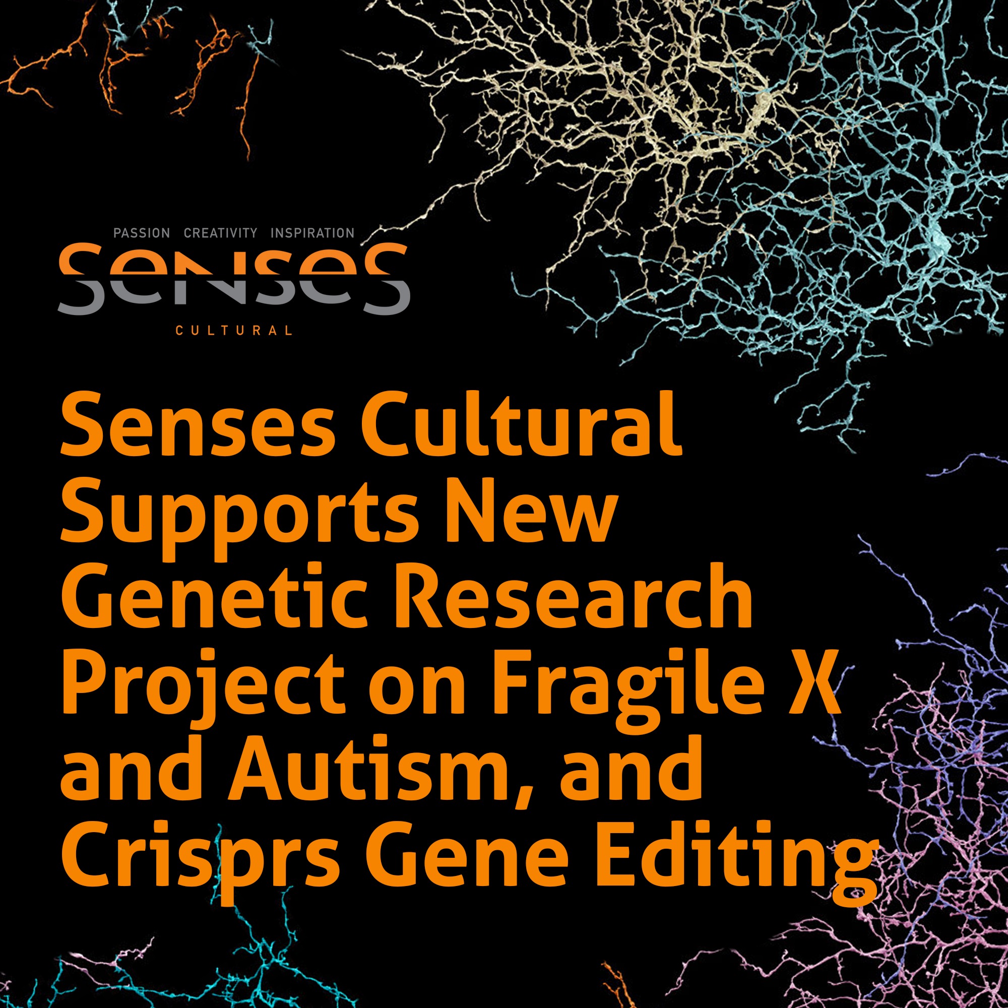 Photo 1 from Senses Cultural Inc