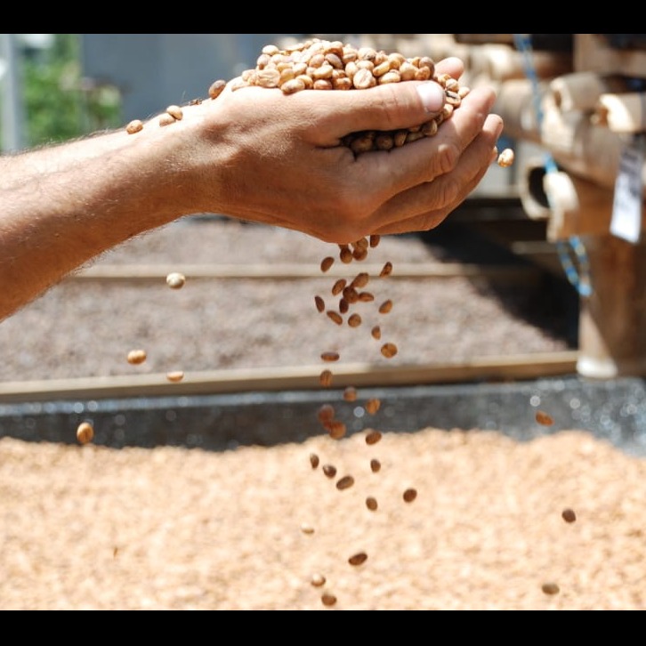 Photo 1 from The CHAIN COLLABORATIVE