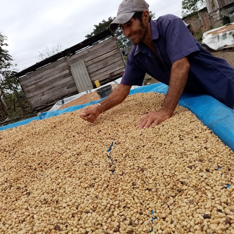 Photo 2 from The CHAIN COLLABORATIVE