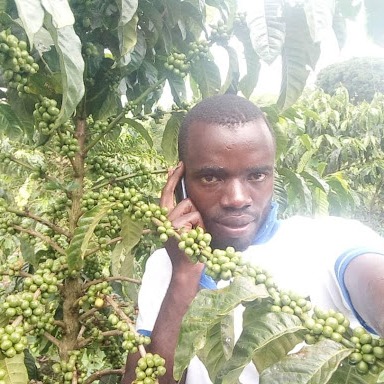 Photo 3 from The CHAIN COLLABORATIVE