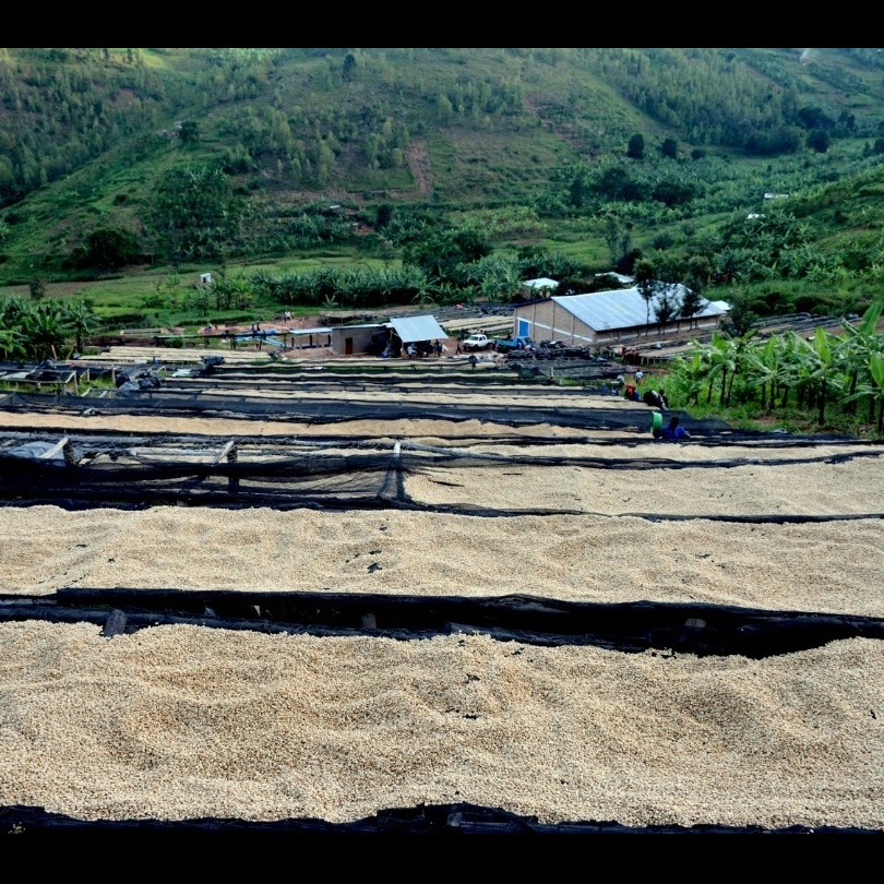 Photo 6 from The CHAIN COLLABORATIVE