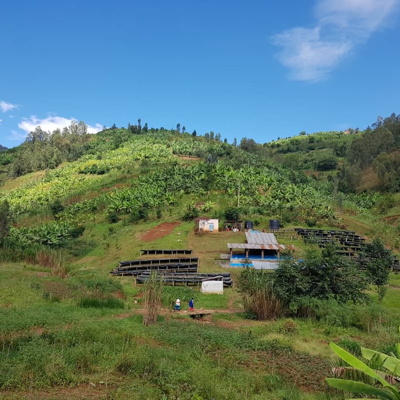 Photo 7 from The CHAIN COLLABORATIVE