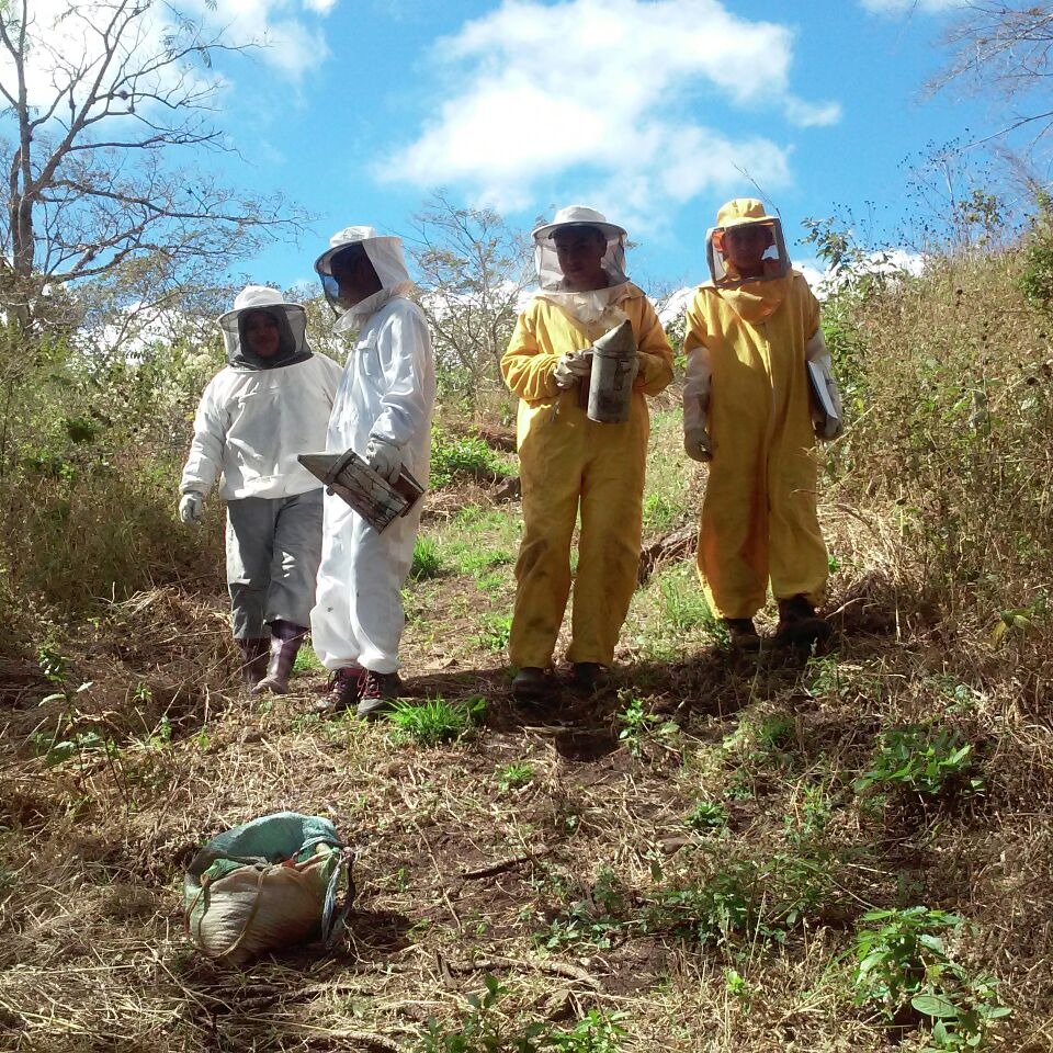 Photo 8 from The CHAIN COLLABORATIVE