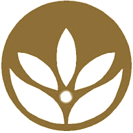 Hawaii Yoga Institute