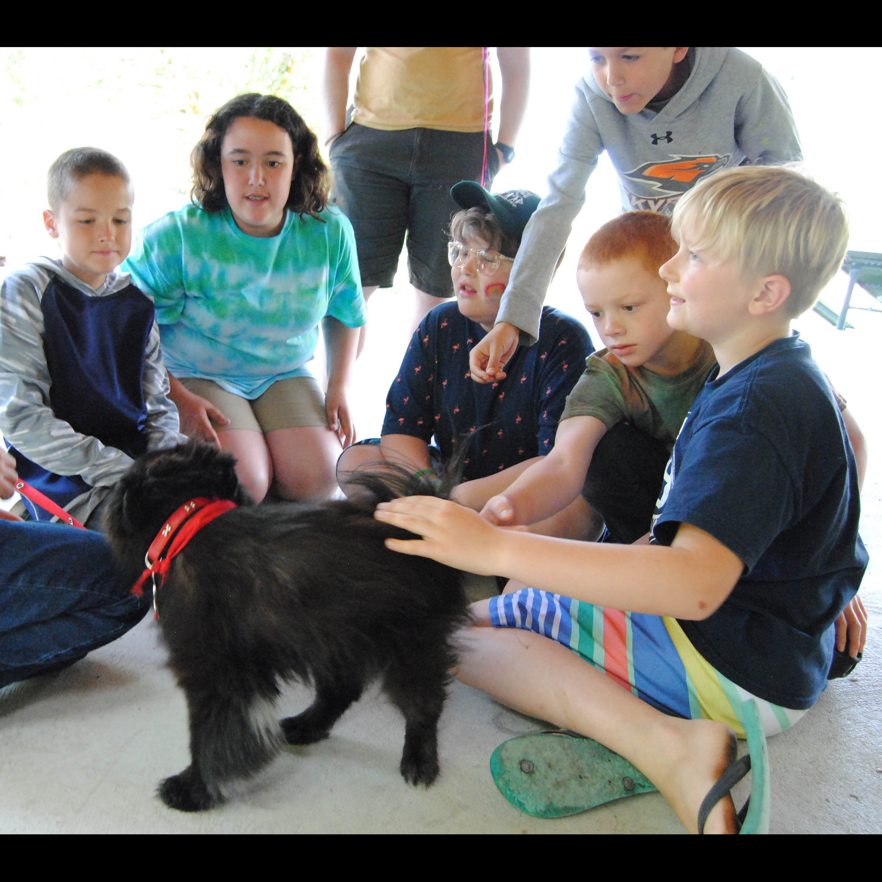 Photo 2 from CAMP HOBE' INC