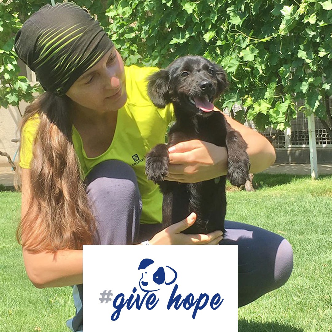 Photo 3 from ROMANIAN LEAGUE IN DEFENSE OF ANIMALS