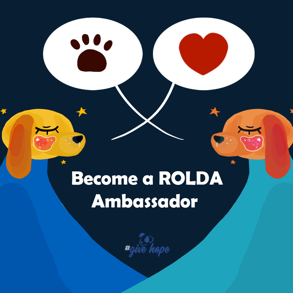 Photo 7 from ROMANIAN LEAGUE IN DEFENSE OF ANIMALS