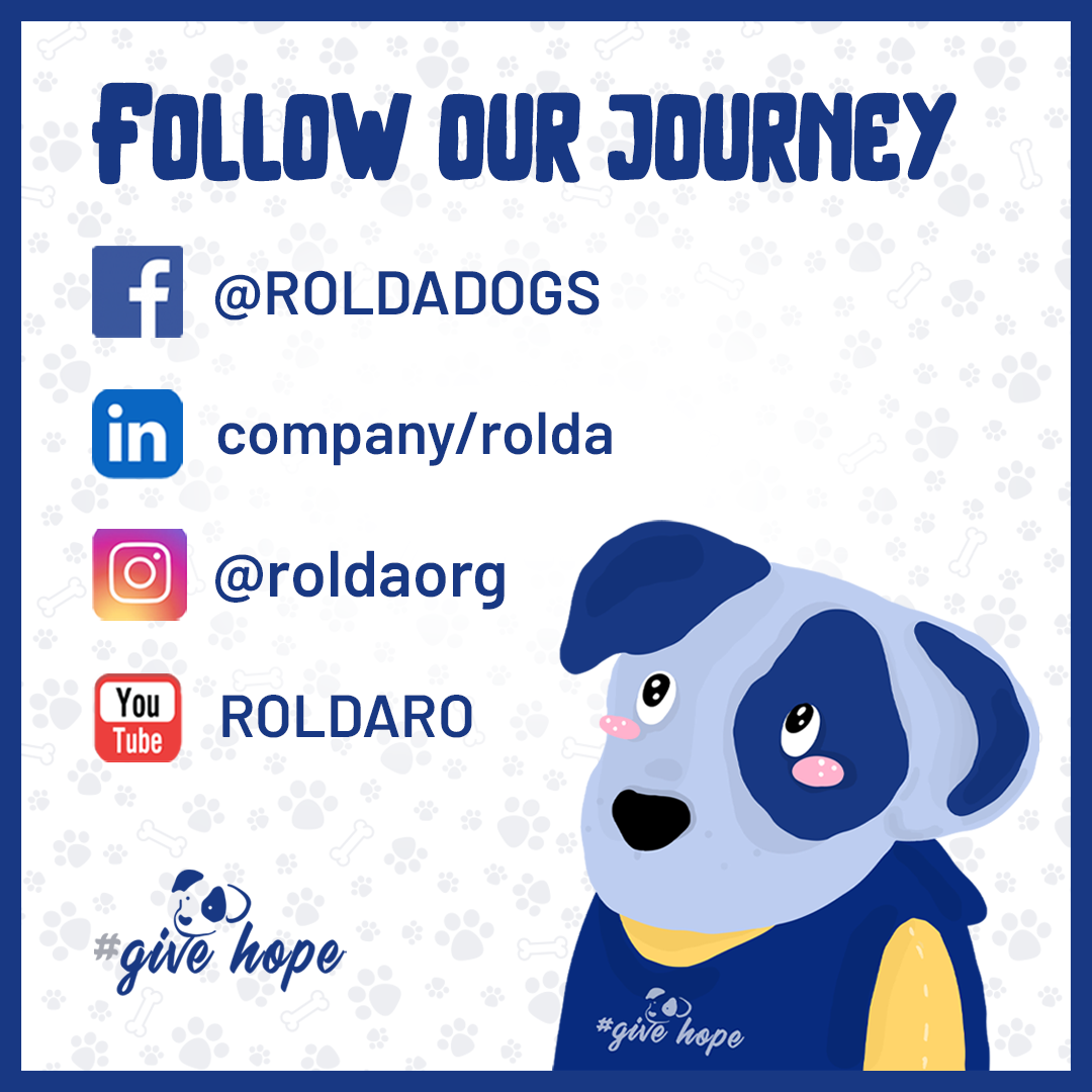 Photo 8 from ROMANIAN LEAGUE IN DEFENSE OF ANIMALS