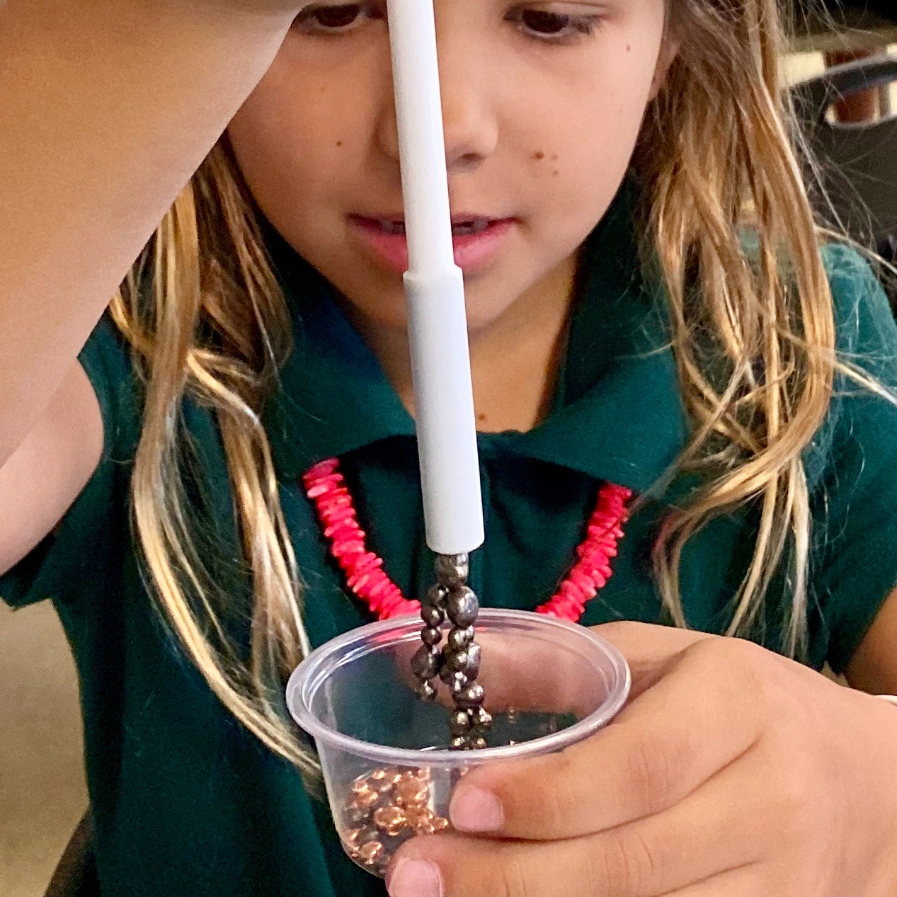 Photo 1 from STEMs Grow