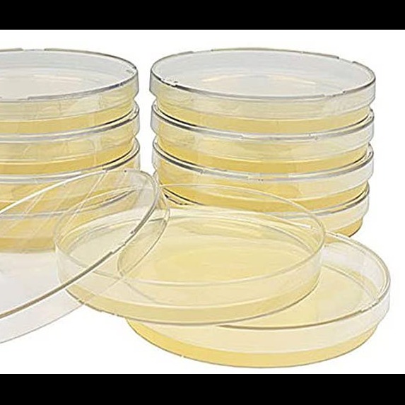 Photo 2 from STEMs Grow