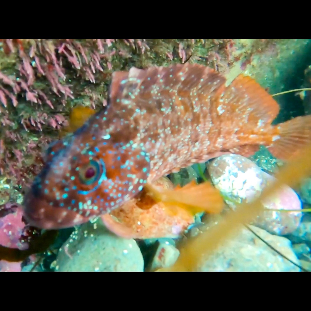 Photo 6 from STEMs Grow