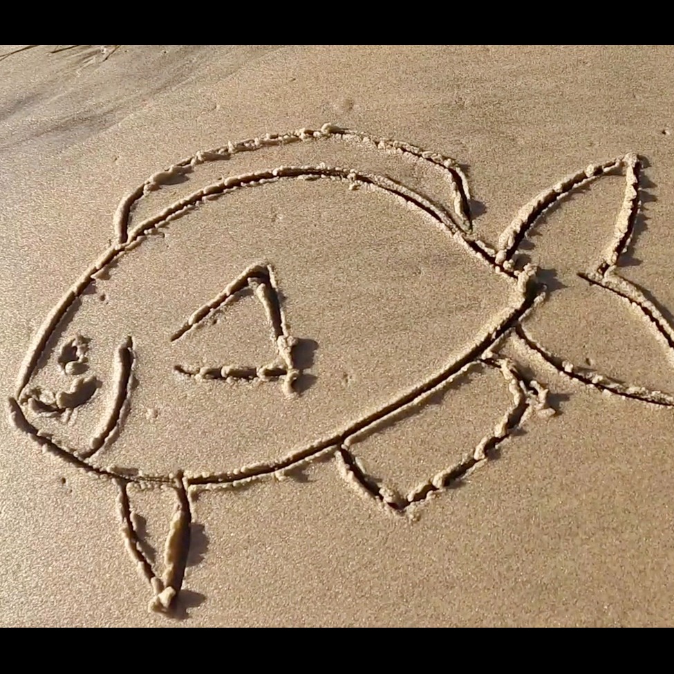 Photo 8 from STEMs Grow