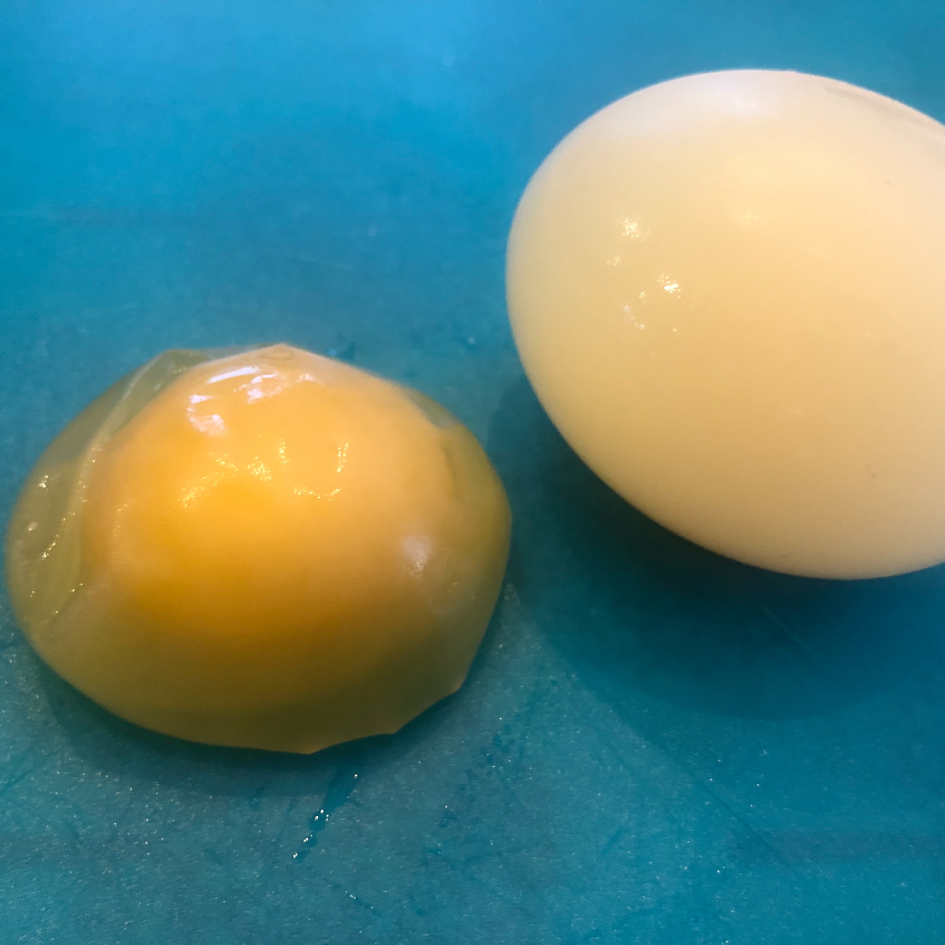 Photo 9 from STEMs Grow