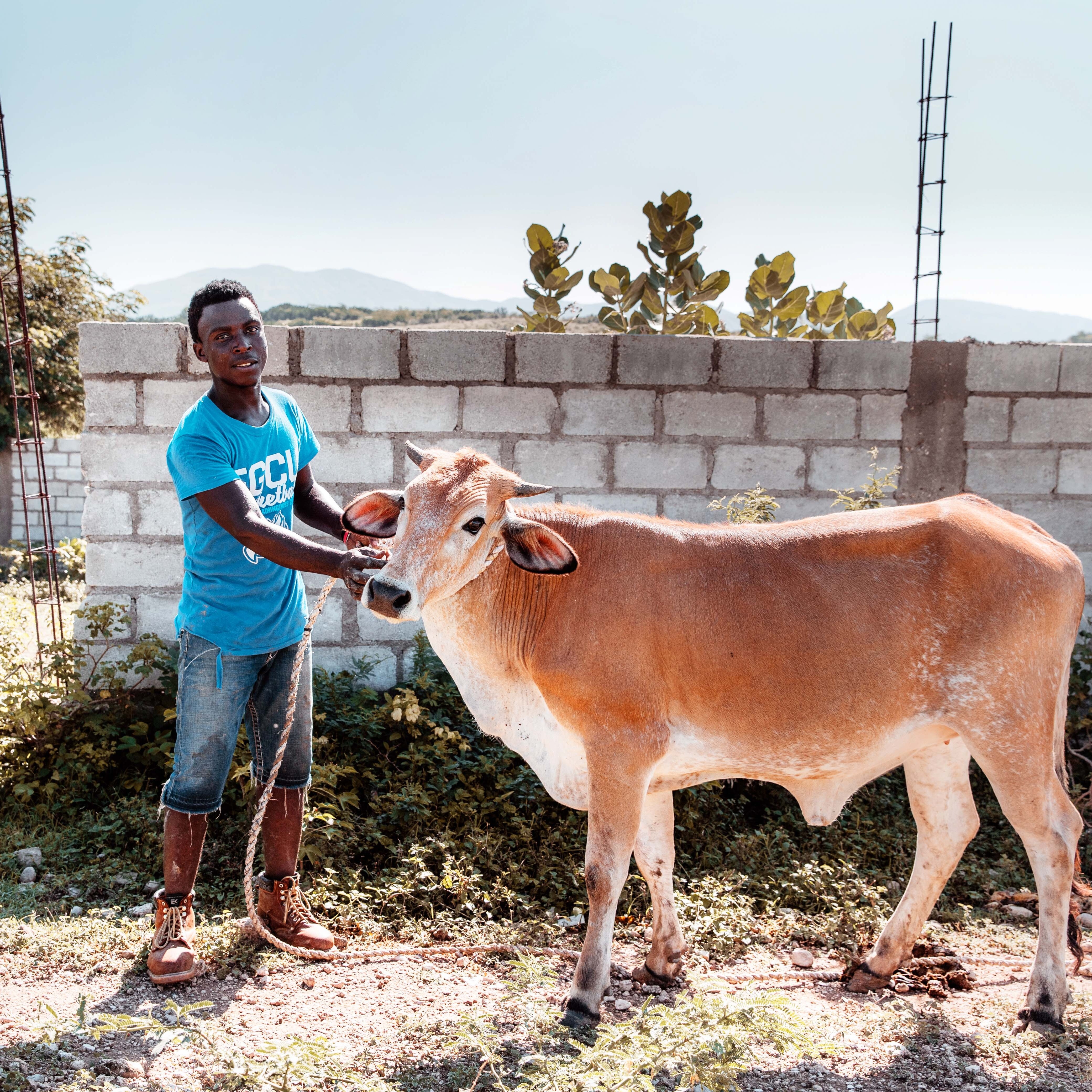 Photo 1 from EXTOLLO INTERNATIONAL