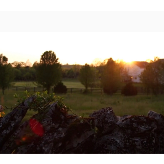 Photo 6 from Rabbit Room Inc