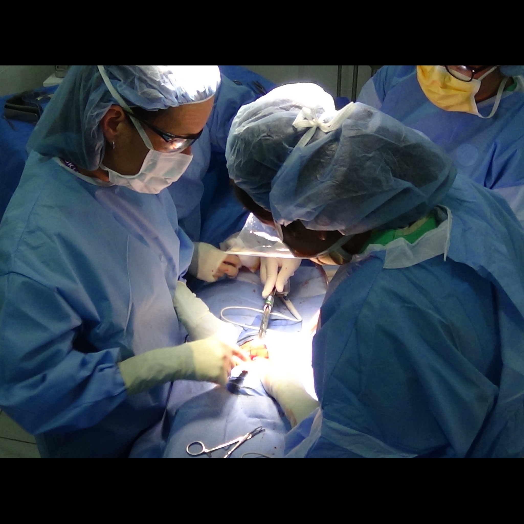 Photo 4 from LIG Global Foundation