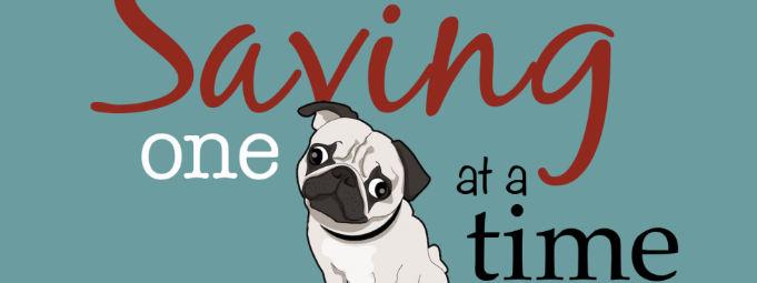 PUG NATION RESCUE OF LOS ANGELES INC