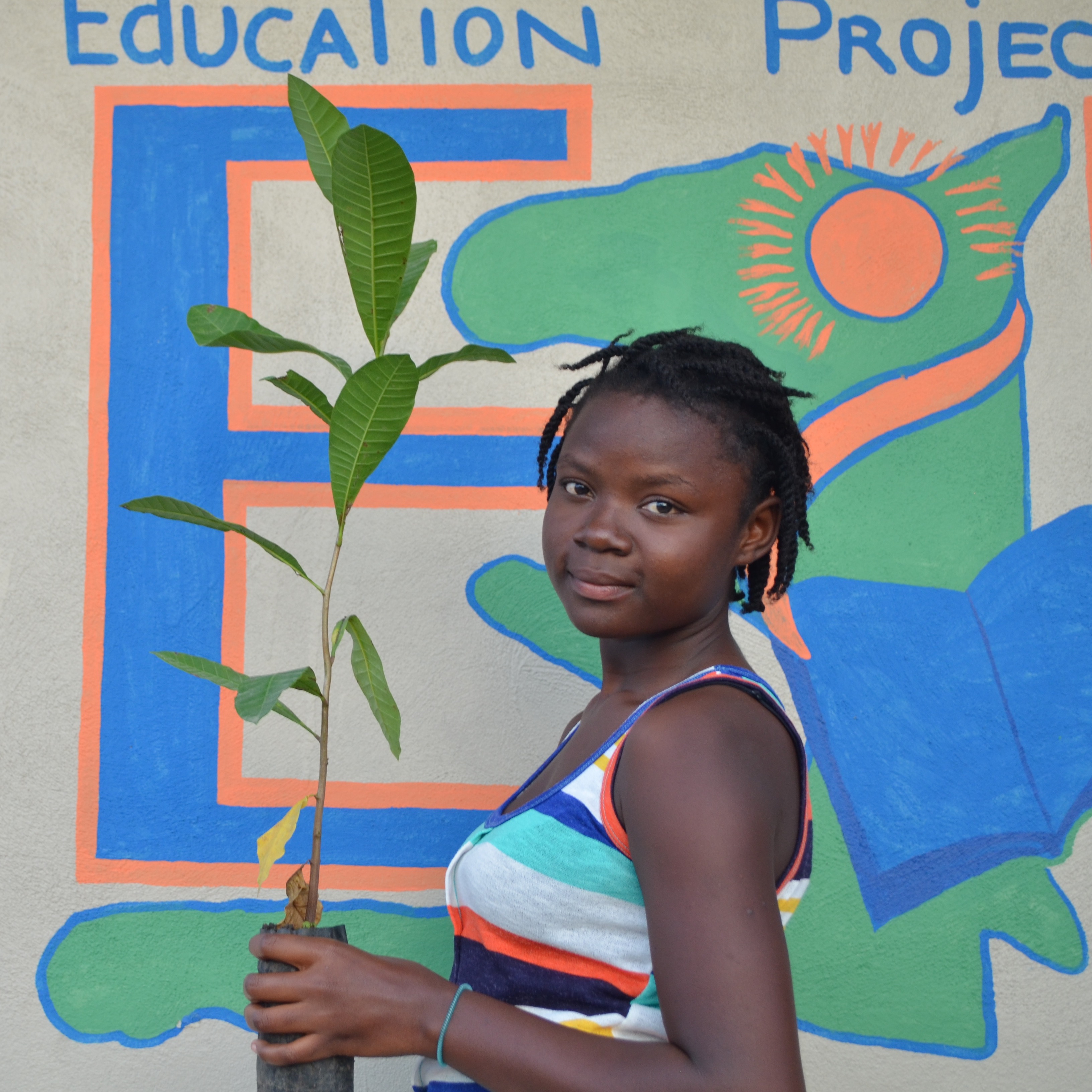 Photo 1 from Haitian Education Project Inc