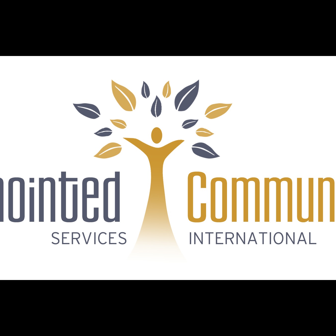 ANOINTED COMMUNITY SERVICES INTERNATIONAL INC