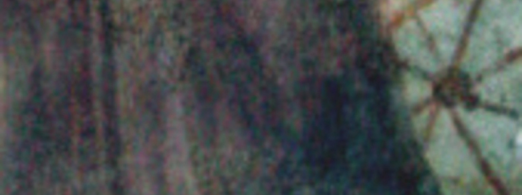 Temple of Fortuna dot com