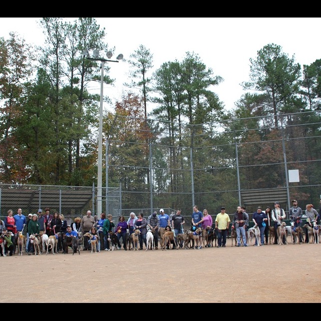 Photo 8 from Triangle Greyhound Society
